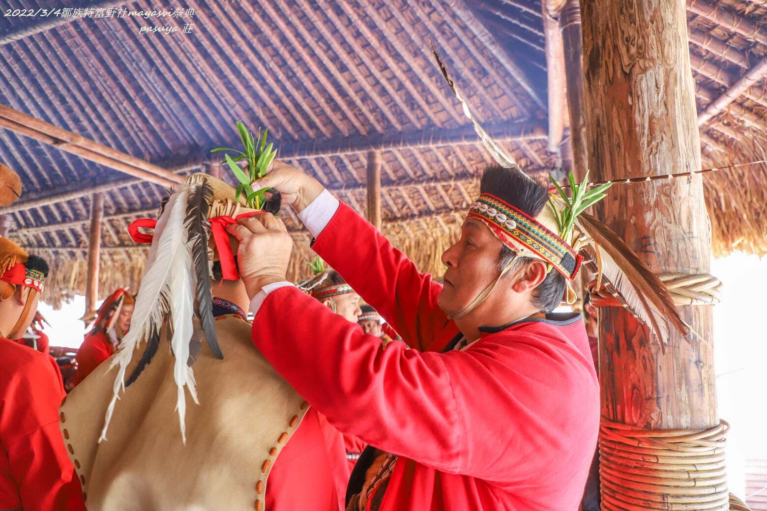 金草蘭（又稱「金草石斛」）在阿里山鄒族傳統文化中具有重要地位，是鄒族祭典中族人與神靈溝通的媒介。