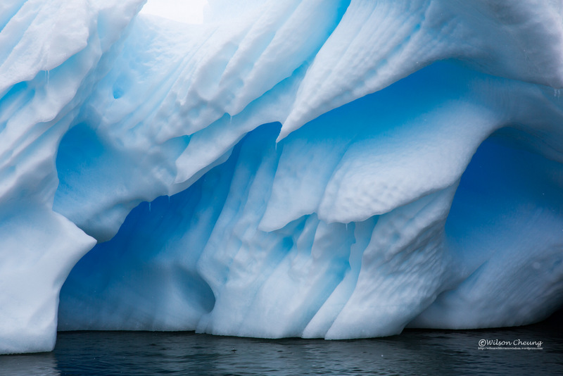 南極洲擁有全球約90%冰量，從冰棚（ice shelf）脫落的冰山，可能是長度超過一百公里的龐然大物。 © Wilson Cheung