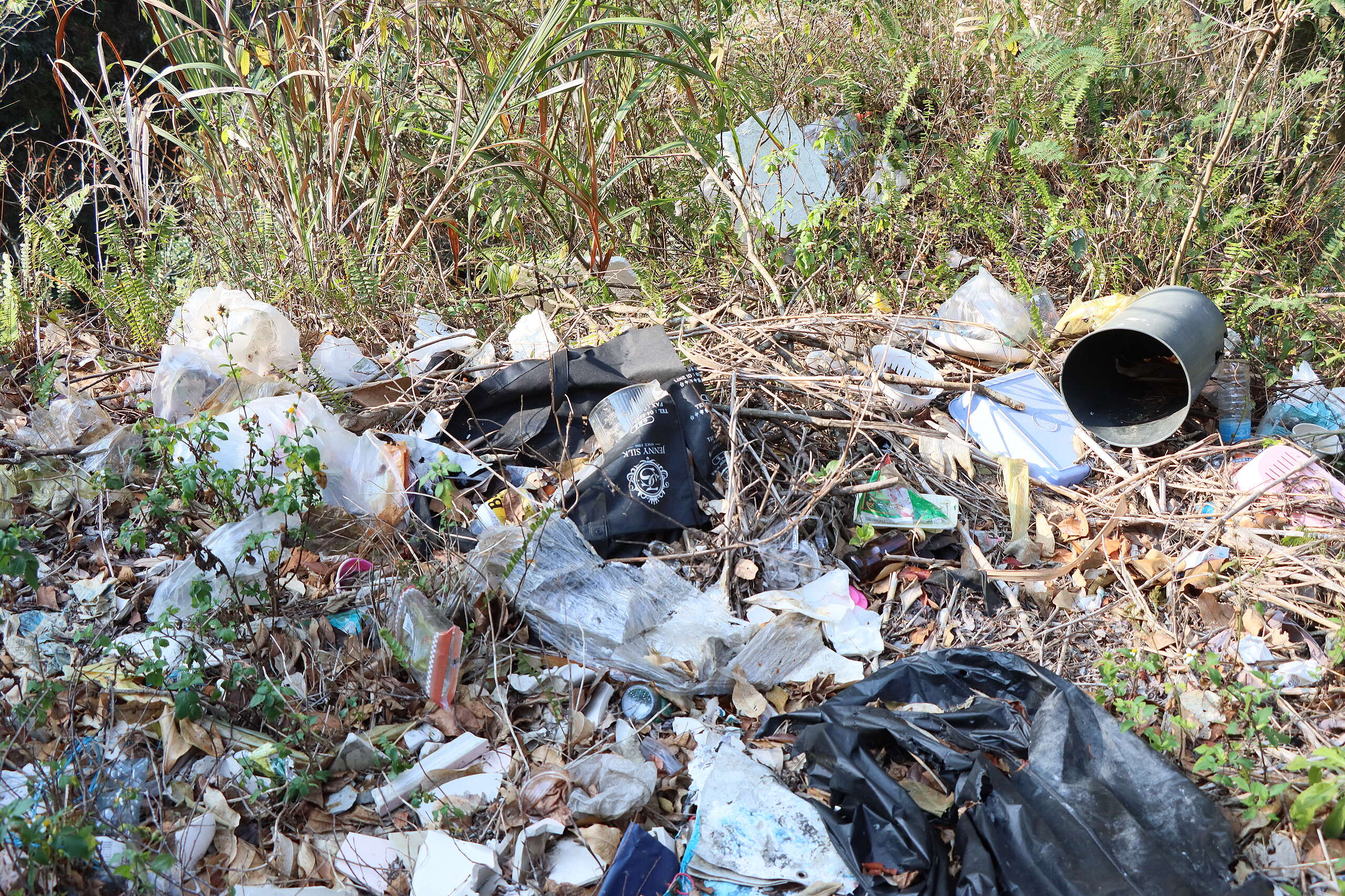 塑膠氾濫已是全球必須面對的環境問題，然而臺灣與全球在限用和管制塑膠的行動仍不夠積極。