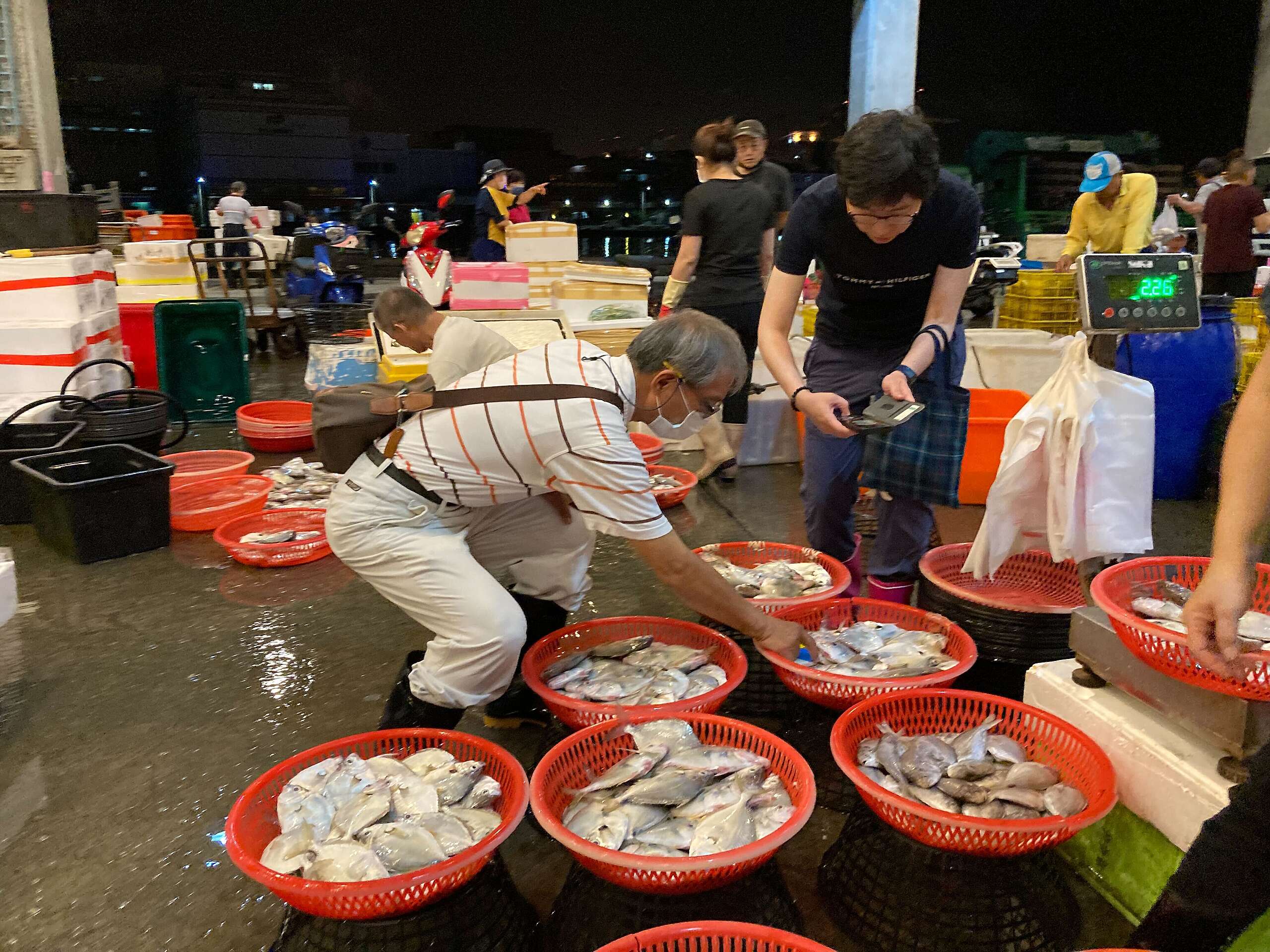 江巍在假日抽空到臺灣的漁港進行魚類調查，即使退休了也熱衷於學習新知。