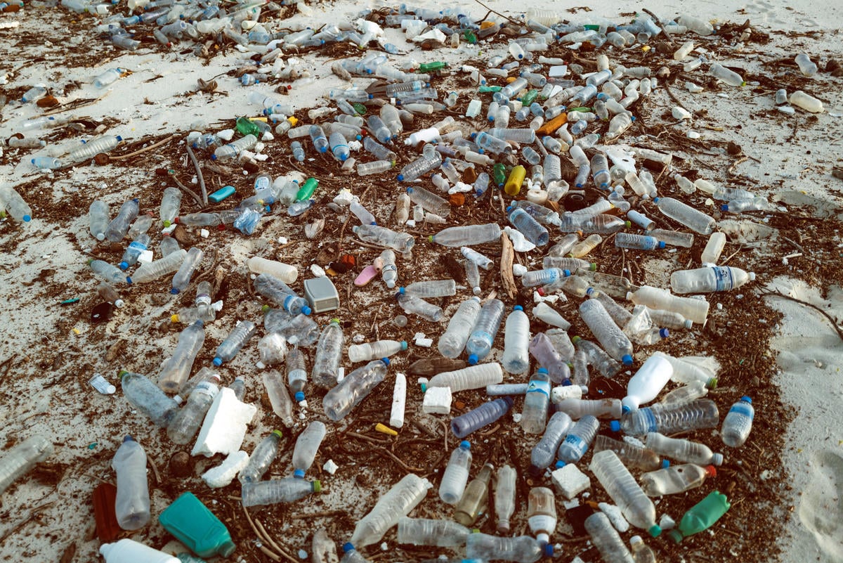雖然PET可以回收，卻因生產量過高且疏於妥善處理，成為自然環境中常見的塑膠垃圾。