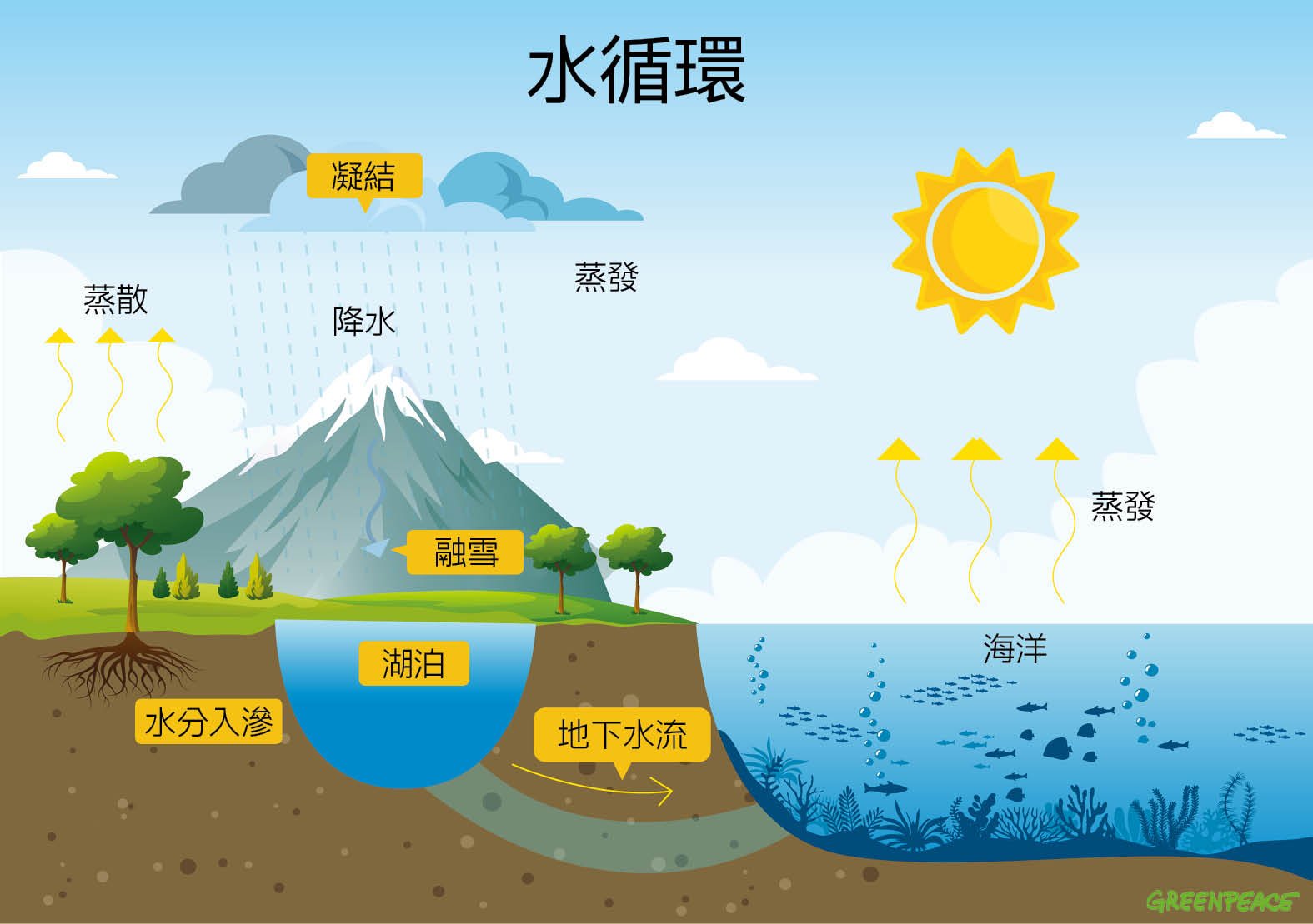 水的形態有液態（如河川和雨）、固態（如冰川和雪）和氣態（如雲和霧），經由太陽輻射能量驅動循環，主要過程分為三個階段：蒸發（evaporation）、凝結（condensation）和降水（percipitation），彼此無限重複循環。