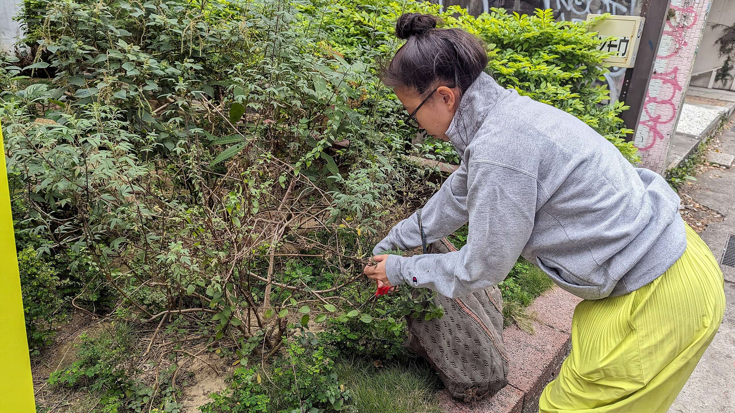 「雜草稍慢」創辦人之一賴瑋婷，在野化點採集雜草製作香草包，於工作坊向民眾分享。