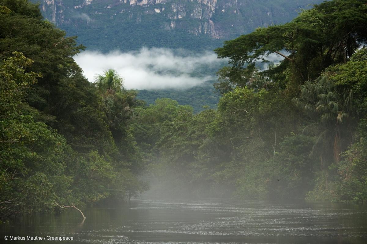 亞馬遜雨林的河流，充滿潮濕的水氣。