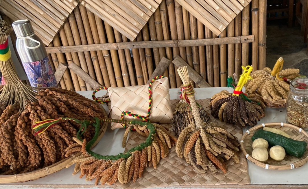 對原住民族來說，小米不僅是糧食，更是舉行祭典時不可或缺的重要元素之一。