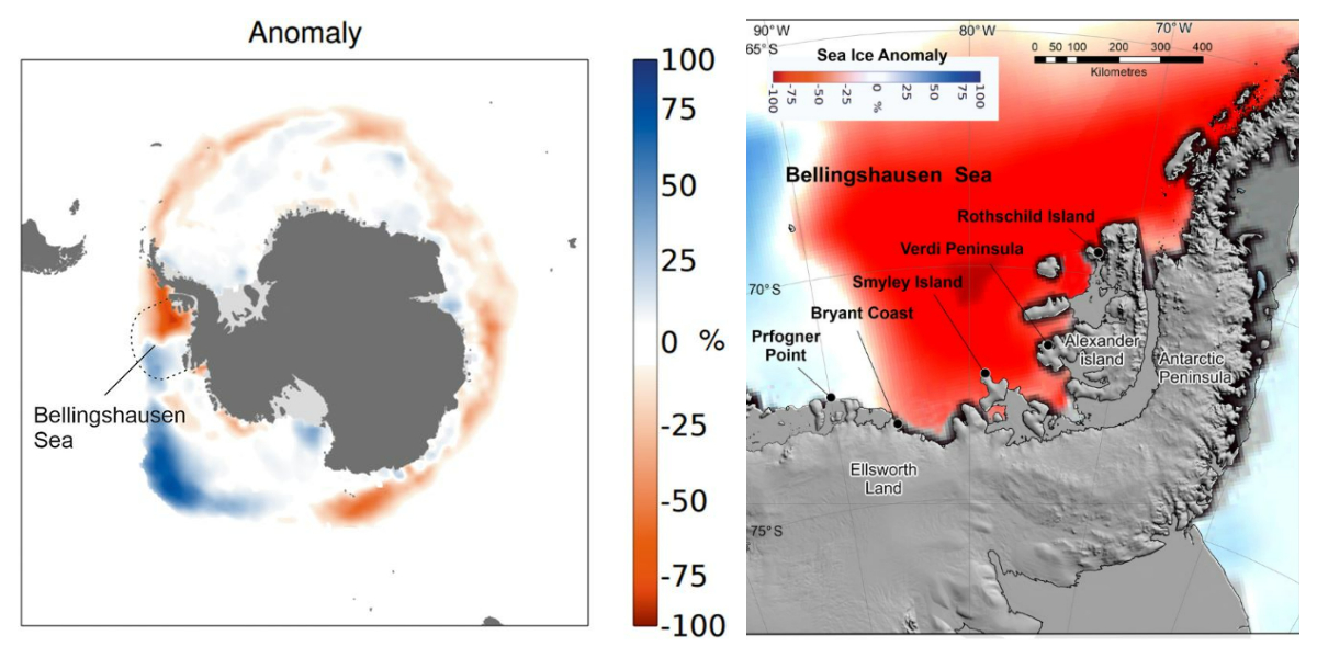 左圖顯示南極別林斯高晉海於2022年11月的海冰密度下降達100%；右圖則標示區內五個皇帝企鵝繁殖地點，其中四個均因海冰破裂而發生皇帝企鵝大規模繁殖失敗事件。 