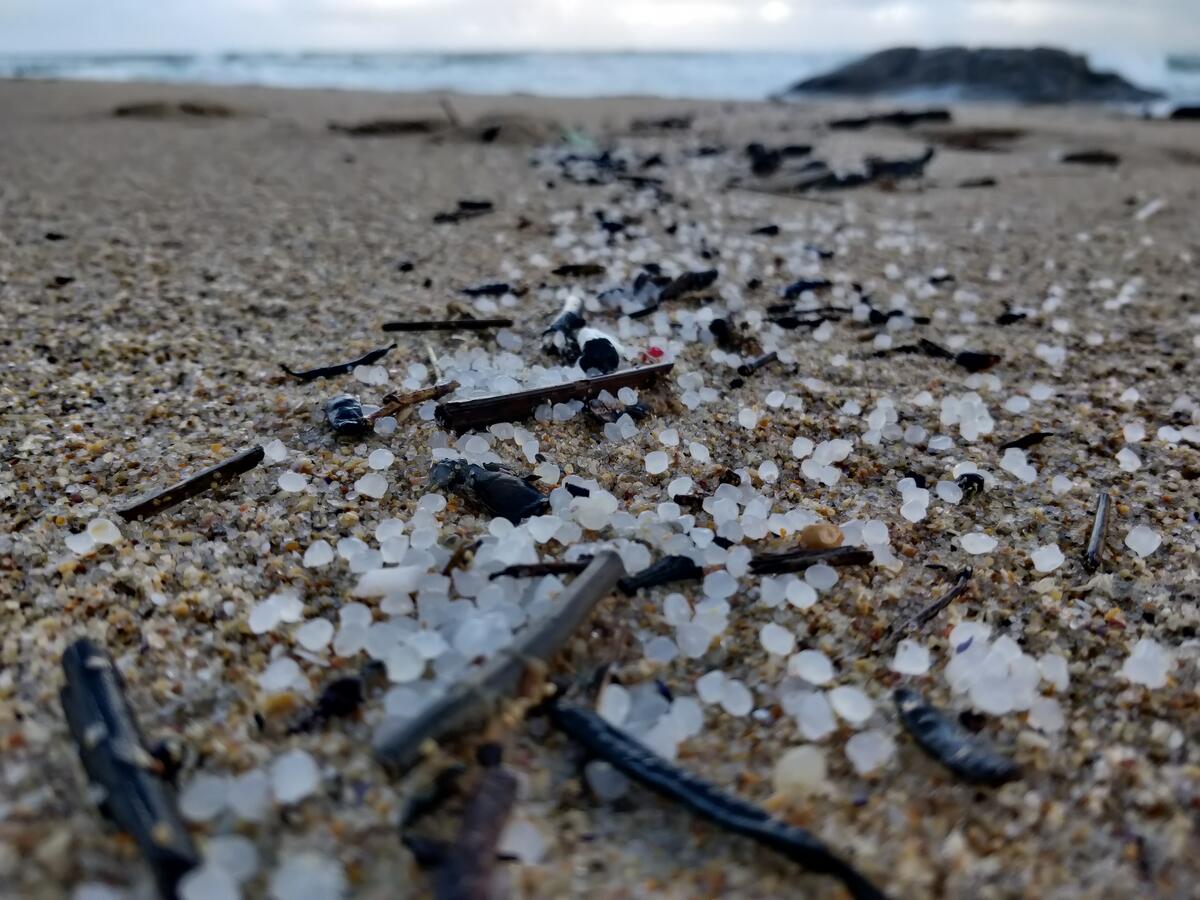 數百萬顆塑膠原粒從貨櫃落入海中，隨著洋流漂散至沙灘和更遠的海域，對海洋生態帶來污染風險。