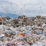 垃圾山遍布全臺！綠色和平研究員揭露高回收率背後的錯誤政策