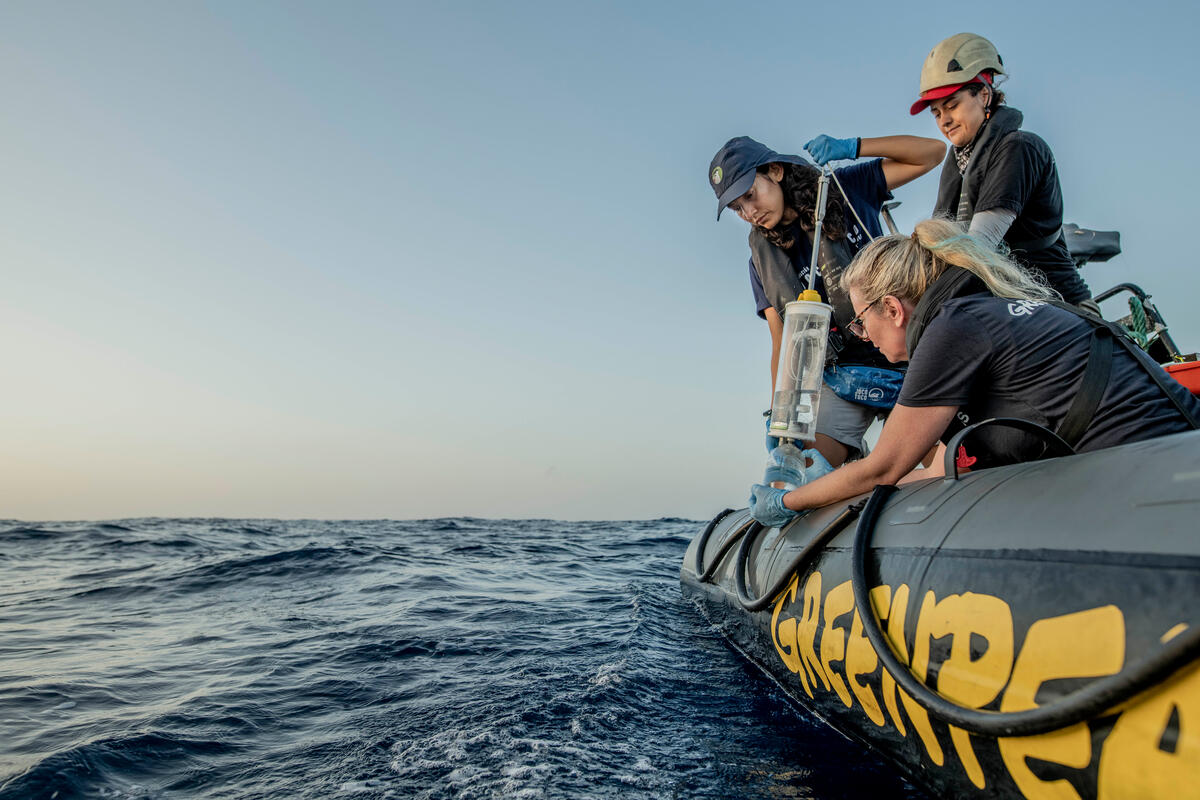 綠色和平團隊與科學家乘坐小艇於加拉巴哥海上採集樣本，調查該海域的生物多樣性。