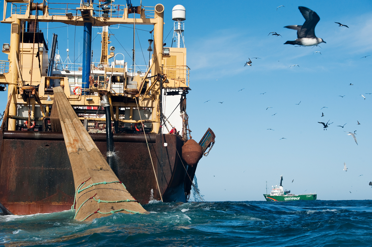 底拖網對海洋生態破壞力極大，也容易造成混獲。