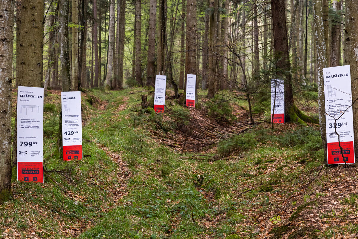 綠色和平行動者在羅馬尼亞古老森林中擺放IKEA家具標籤，象徵這些樹木可能遭砍伐，成為平價家具。