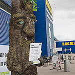 IKEA家具涉及砍伐古老森林！這些產品您有買嗎？