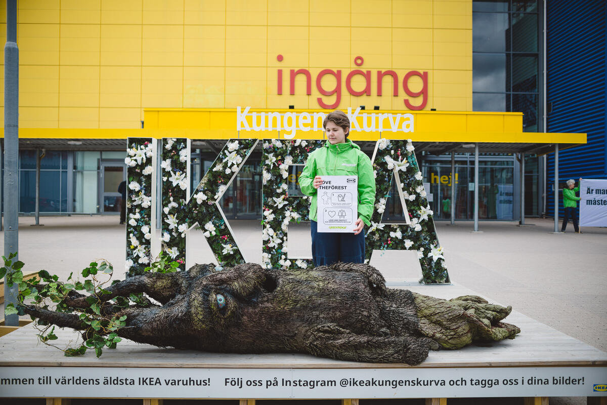 2024年4月10日，綠色和平行動者於瑞典家具品牌IKEA門市前，指出IKEA至少30項商品涉及破壞古老森林。