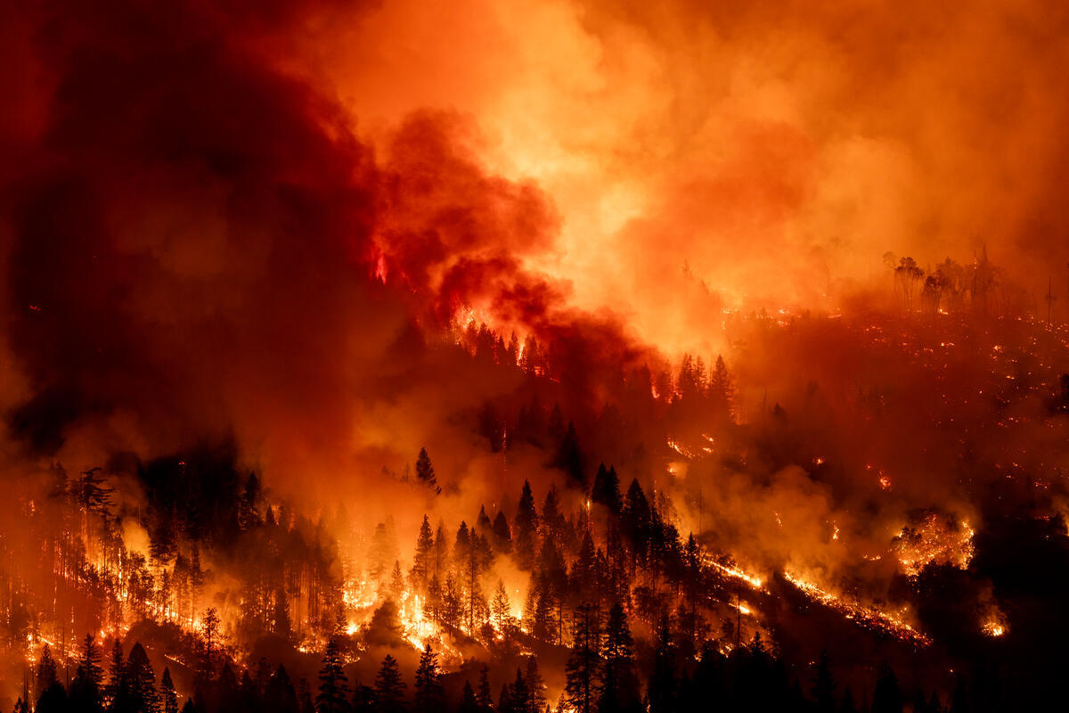 2024年7月30日，美國加州發生嚴重野火Park Fire，極端炎熱且乾燥的天氣使火勢快速蔓延。