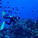 蝦卷熱愛潛水，在綠島擔任教練，多年來發現海洋環境逐漸改變。
