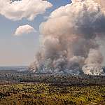 亞馬遜大火12年以來最高！一年內釋放8.13億噸溫室氣體