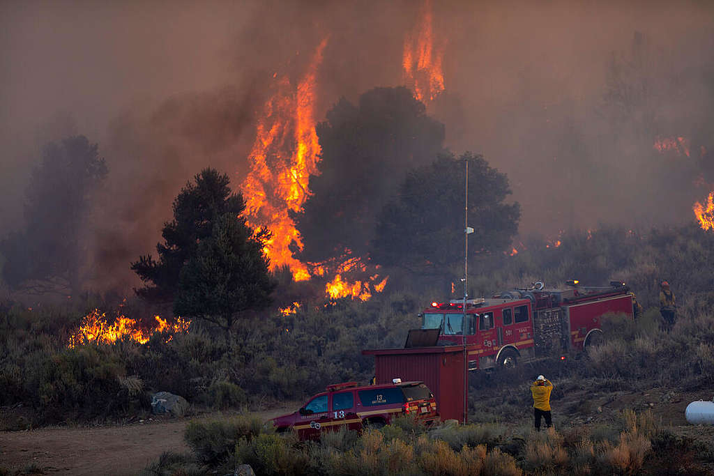 Bobcat Fire Continues to Burn in Southern California. © David McNew / Greenpeace
