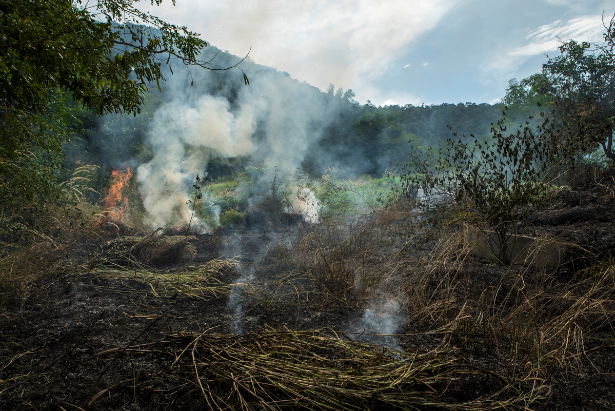 Open Burning in Saraburi Province. © Jorge Lareau / Greenpeace