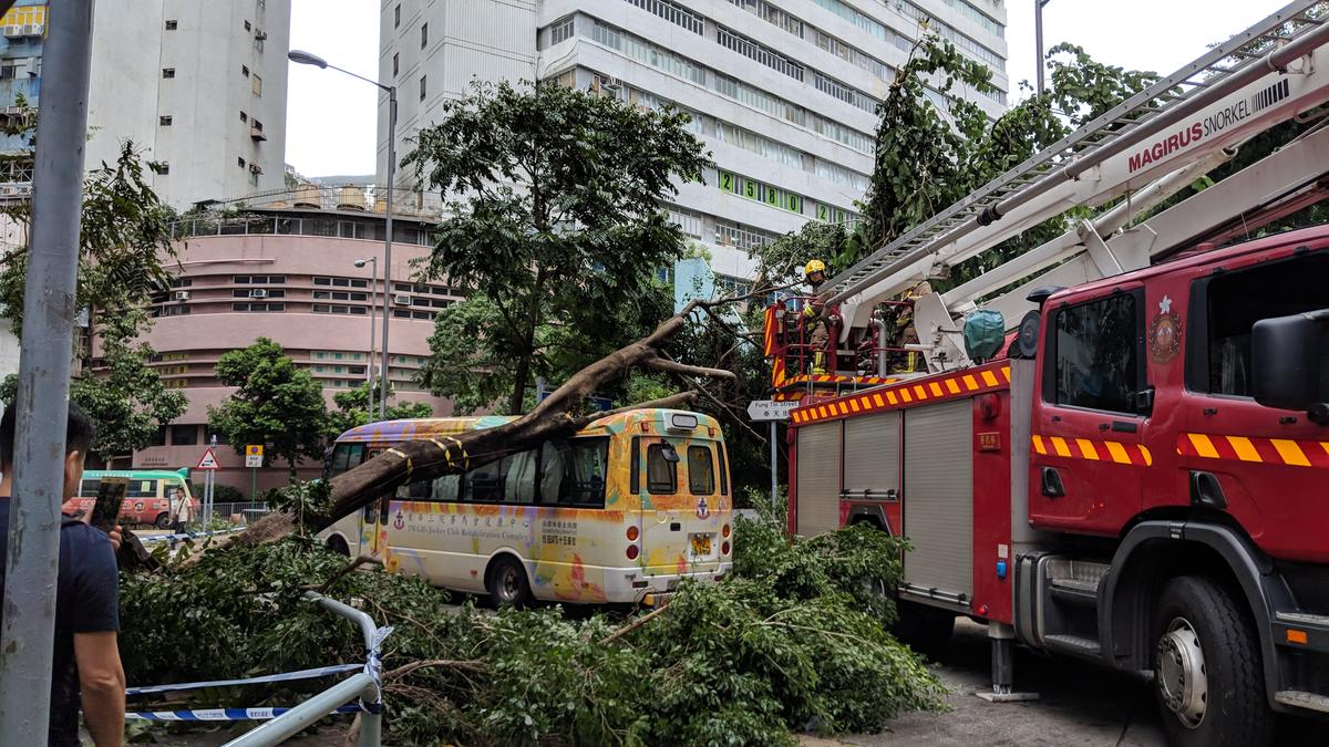 Typhoon Mangkhut impacts in Hong Kong. © Greenpeace