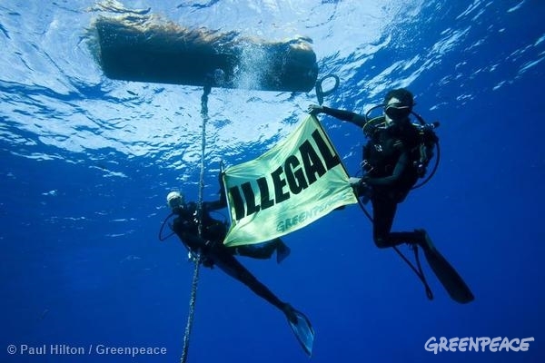 Activists hold a banner reading 'Illegal' by a Fish Aggregating Device (FAD) in the Western Central Pacific Ocean. Greenpeace has confiscated several FADs which are currently banned in pockets of the Pacific Ocean. 09/04/2009 © Paul Hilton / Greenpeace