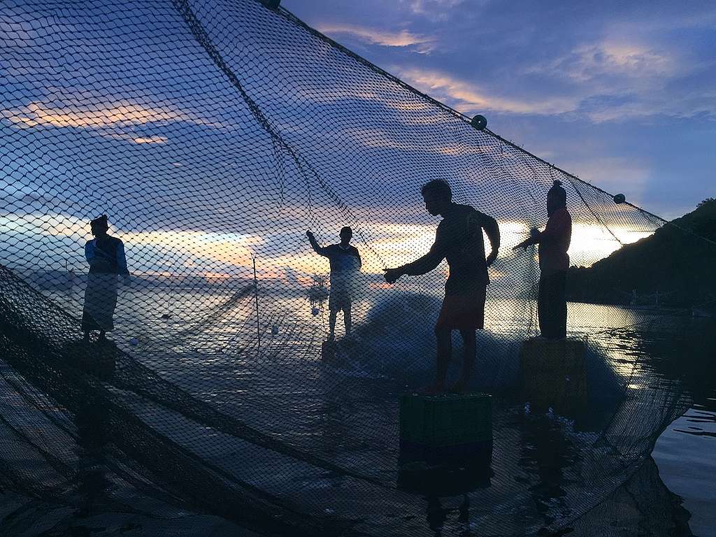 Local Fishermen Choose Sustainable Fishing Practices in Thailand. © Biel Calderon / Greenpeace