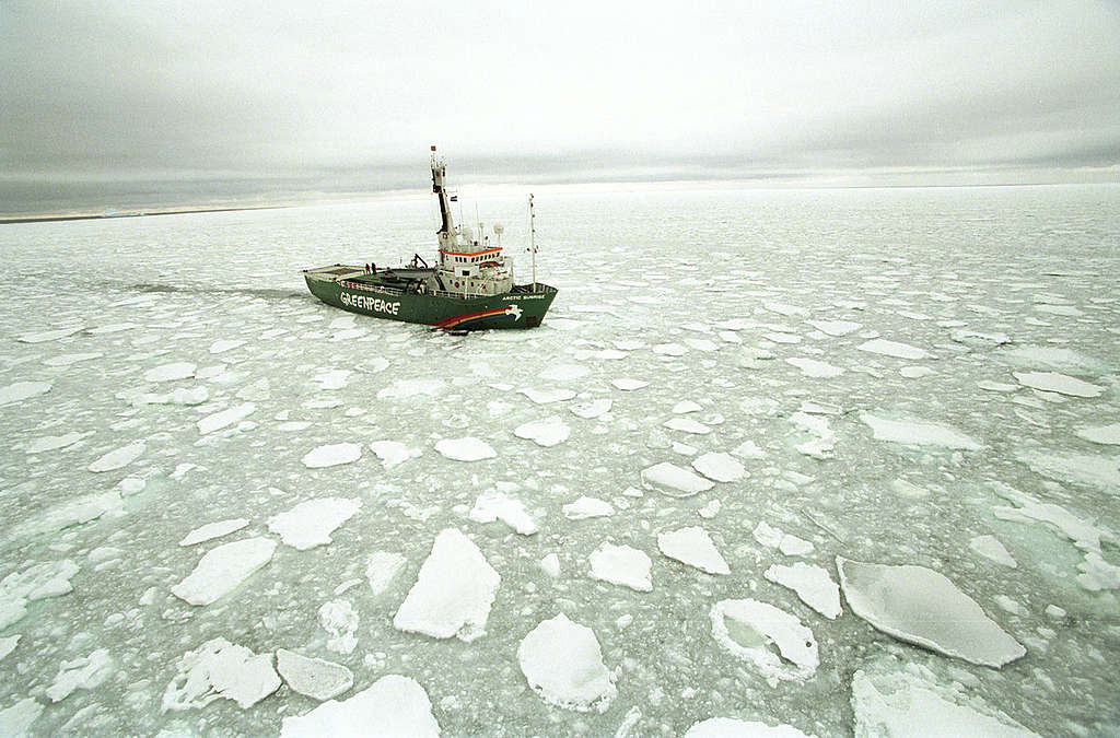 MV Arctic Sunrise in the Southern Ocean. © Greenpeace / Jeremy Sutton-Hibbert