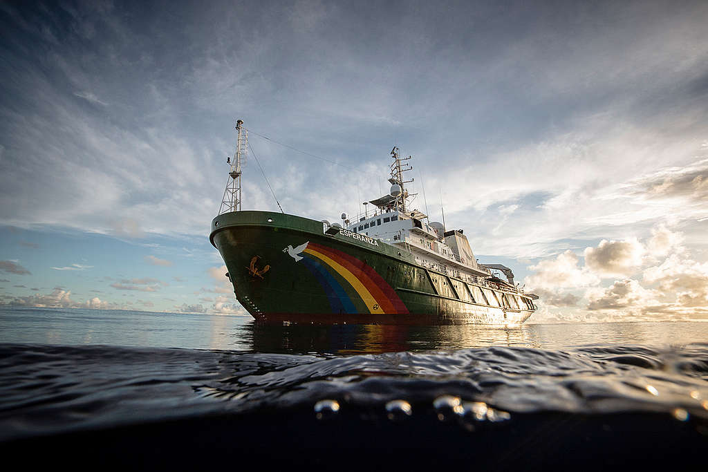 MY Esperanza in the Indian Ocean. © Will Rose / Greenpeace