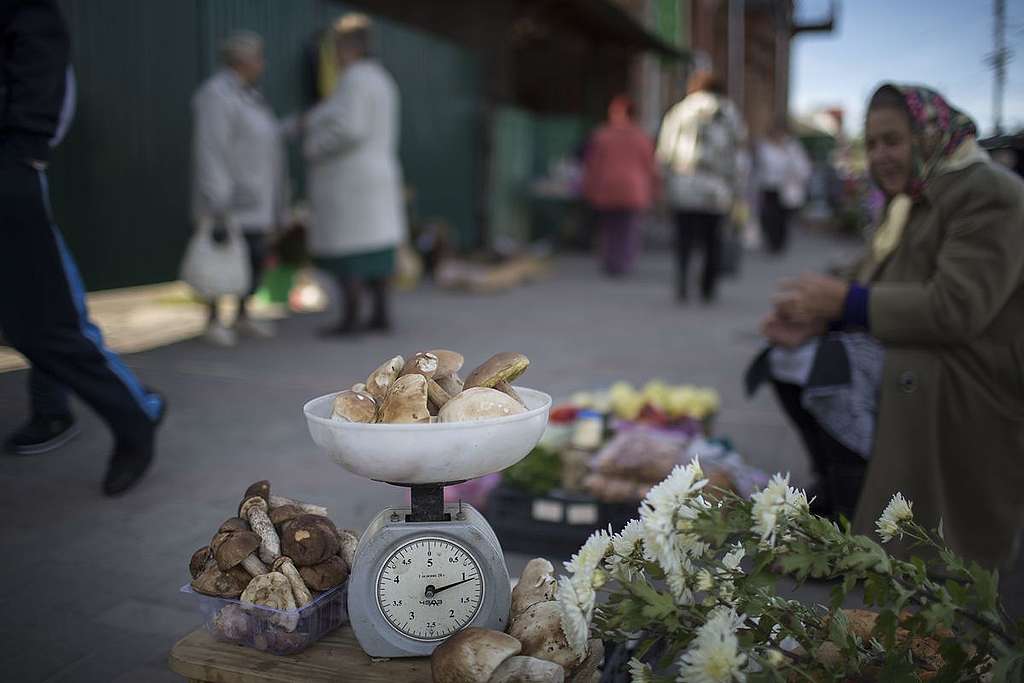 Resident Sells Local Produce in Russian Market. © Denis Sinyakov / Greenpeace