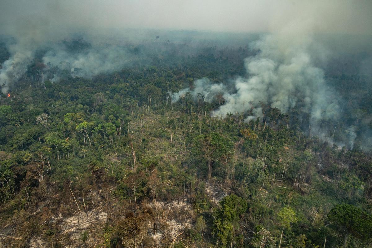 Forest Fires in Altamira, Pará, Amazon (2019). © Victor Moriyama / Greenpeace