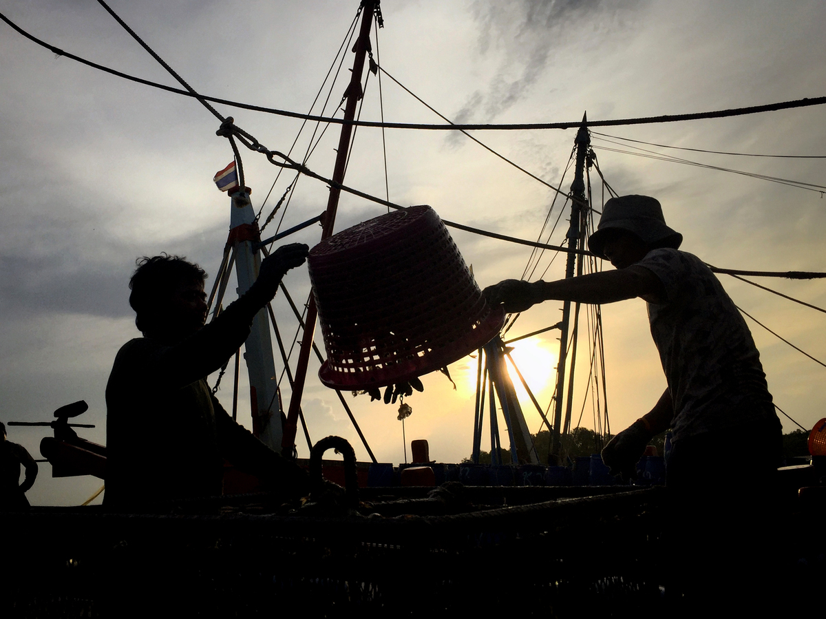 Fisherman Discard Bycatch in Thailand. © Biel Calderon / Greenpeace