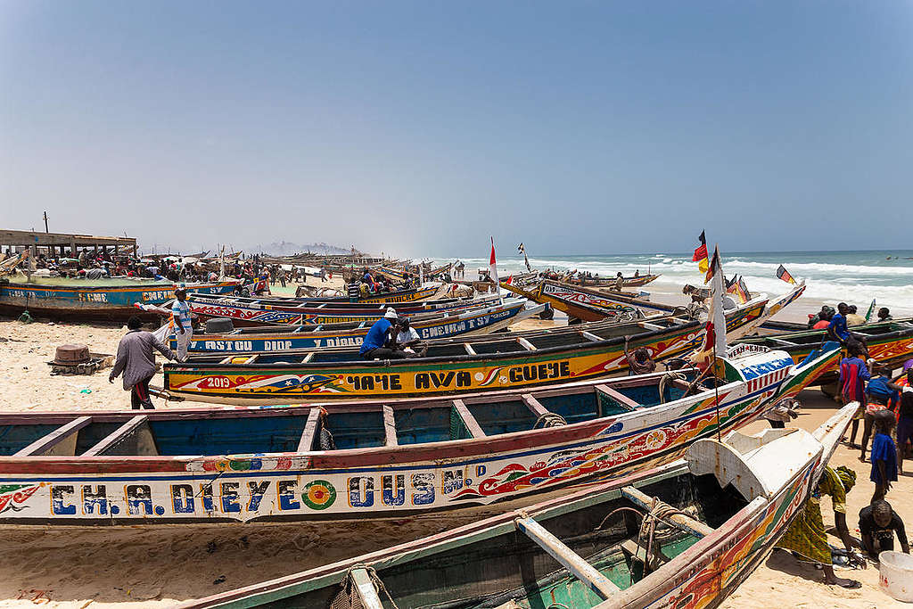 Everyday life in the Fishing Village of Fass Boye, Senegal. © Elodie Martial / Greenpeace