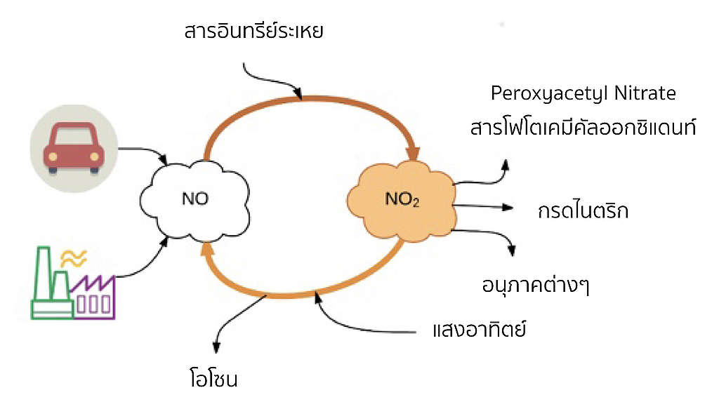 life cycle NO2
