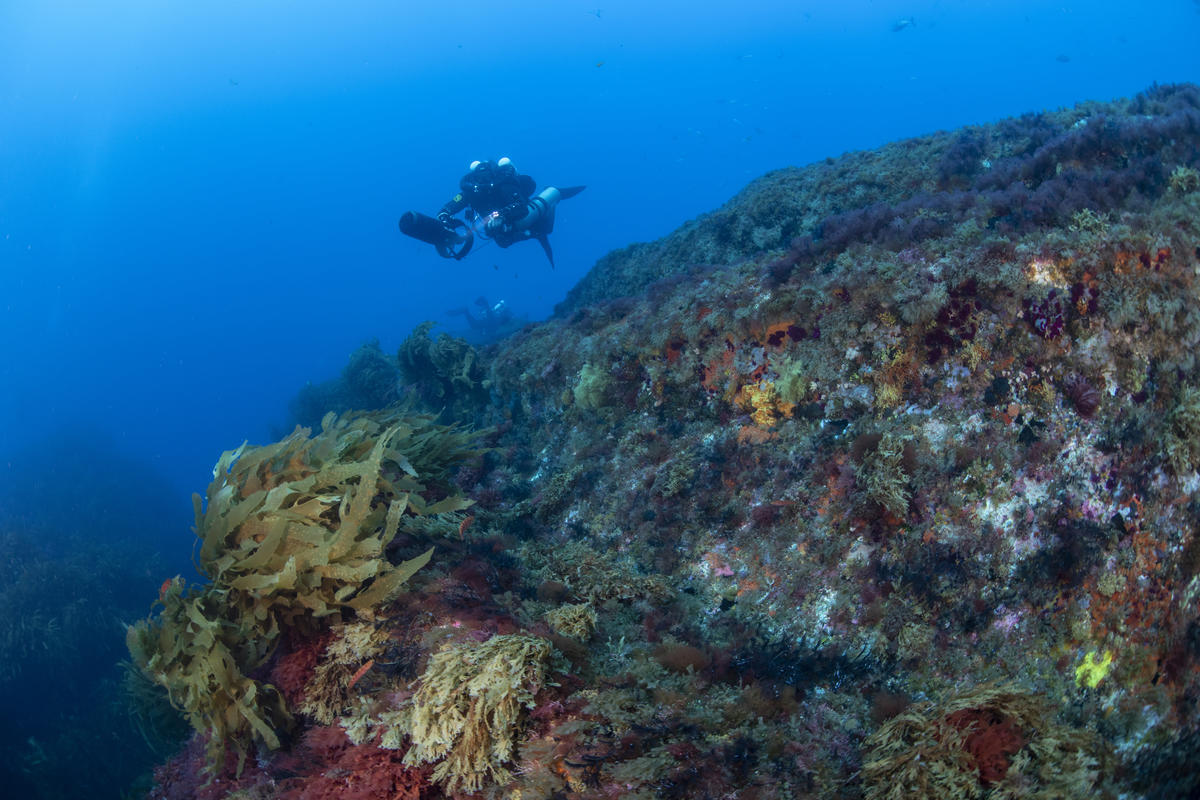 Diving Operation at Vema Seamount. © Richard Barnden / Greenpeace
