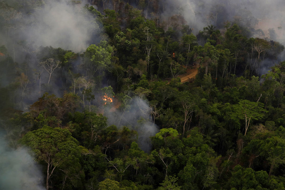 Forest Fires in the Amazon. © Chico Batata / Greenpeace
