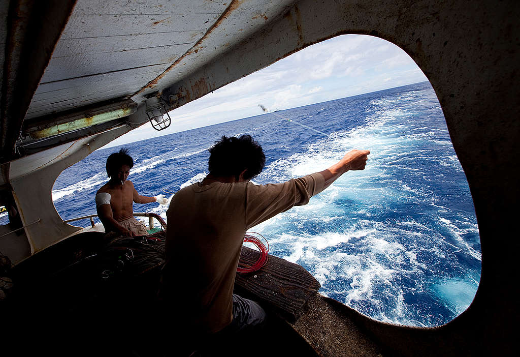 Taiwanese Fishermen in the Pacific Ocean. © Greenpeace / Paul Hilton