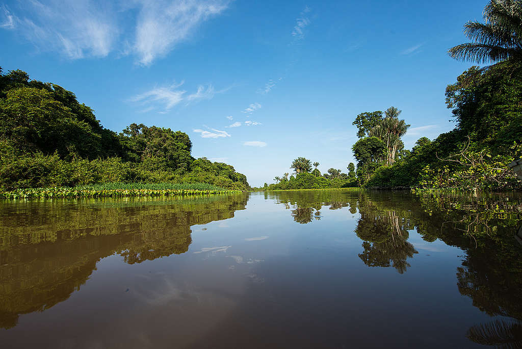 Tapajós River in the Amazon Rainforest. © Valdemir Cunha / Greenpeace