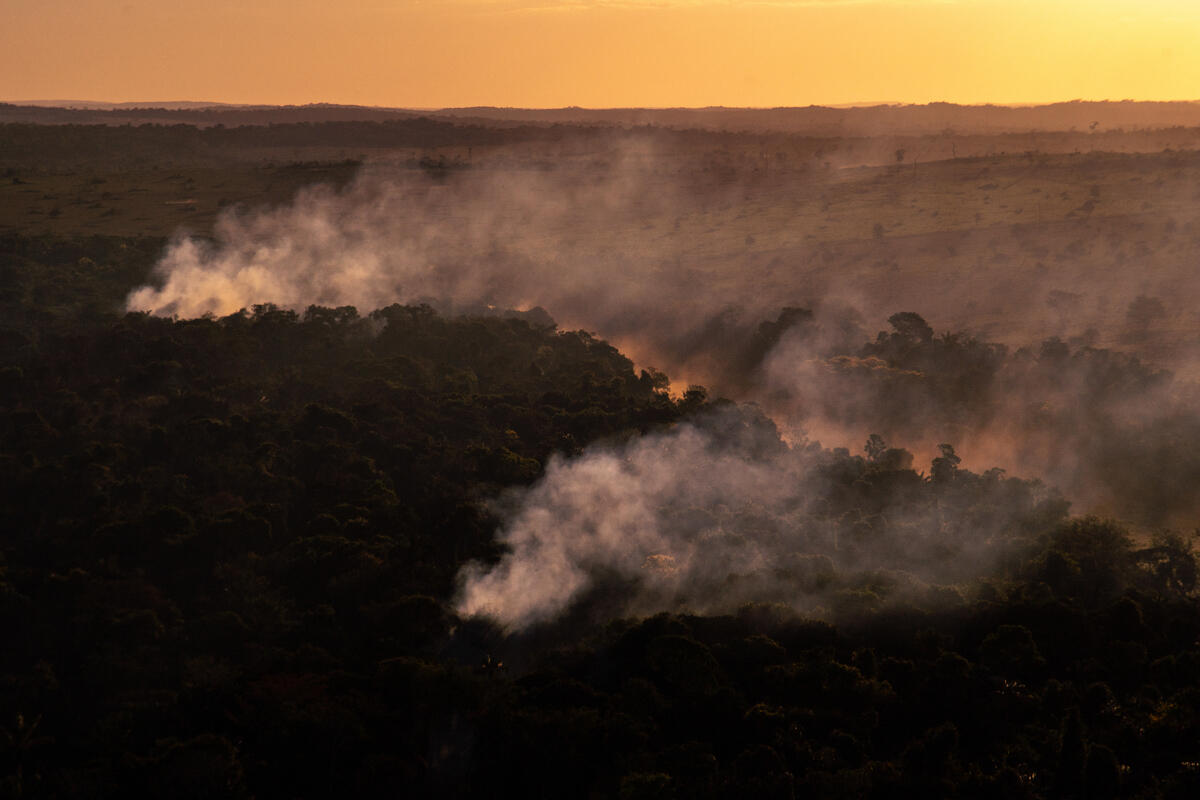 Deforestation and Fire Monitoring in the Amazon in July, 2020. © Christian Braga / Greenpeace