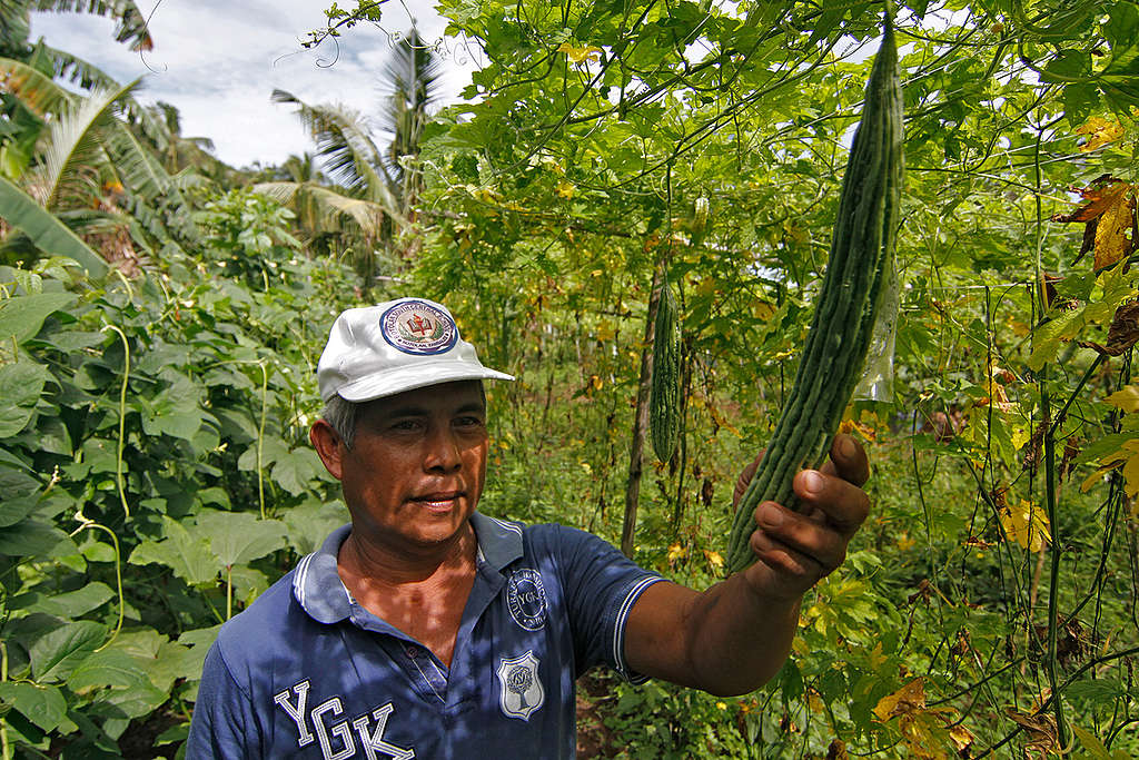 Ecological Agriculture Farmer in East Samar. © Vincent Go / Greenpeace