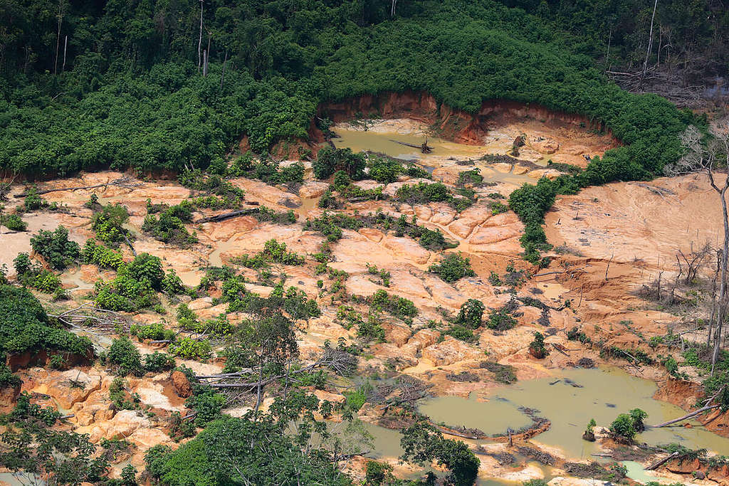 Mining in the Yanomami Indigenous Land in Brazil. © Chico Batata / Greenpeace