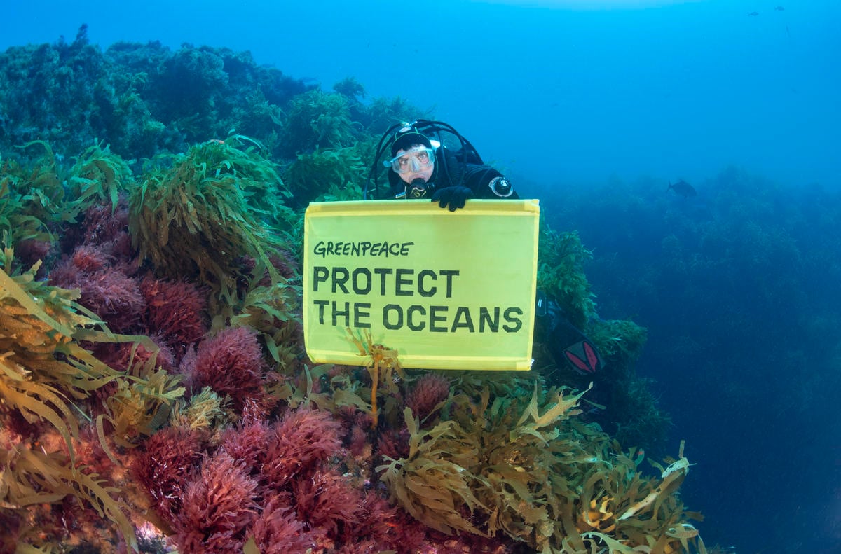 Diving Operation at Vema Seamount. © Richard Barnden / Greenpeace