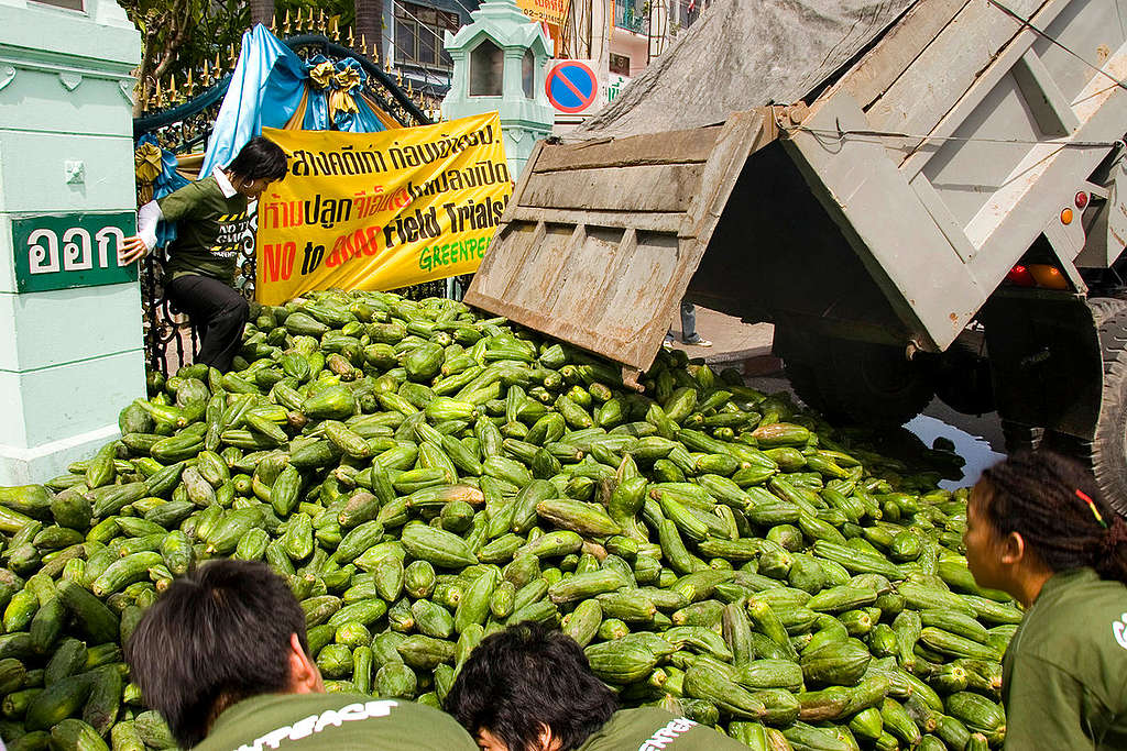 GE Papayas Action in Bangkog. © Greenpeace / Vinai Dithajohn