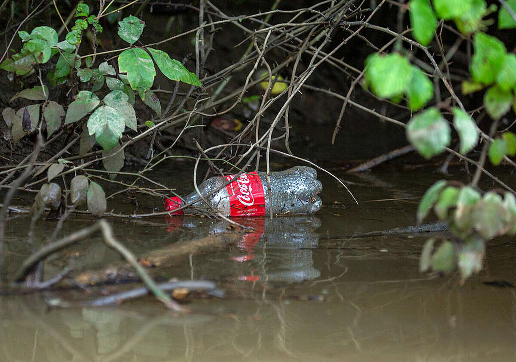 Coca Cola Plastic Pollution in the Anacostia River in Maryland. © Tim Aubry / Greenpeace