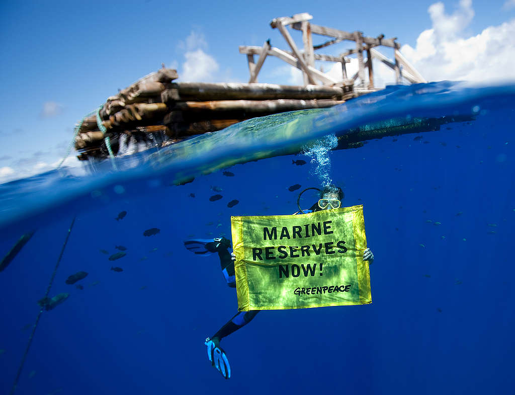 FAD in the Pacific Ocean. © Paul Hilton / Greenpeace