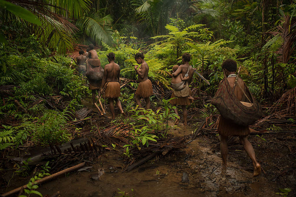 Indigenous People in the Rainforest of West Papua. © Markus Mauthe / Greenpeace