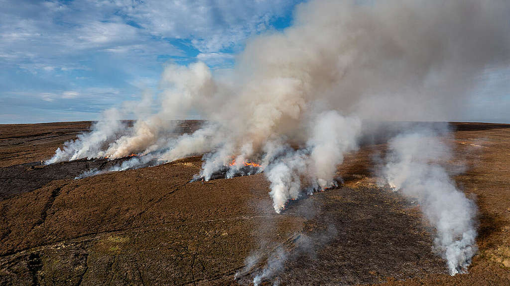 Peatland Burning on North York Moors UK. © Steve Morgan / Greenpeace