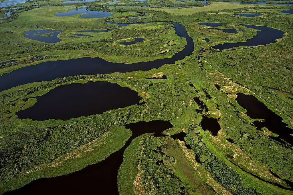 Pantanal Wetlands in Brazil. © Markus Mauthe / Greenpeace