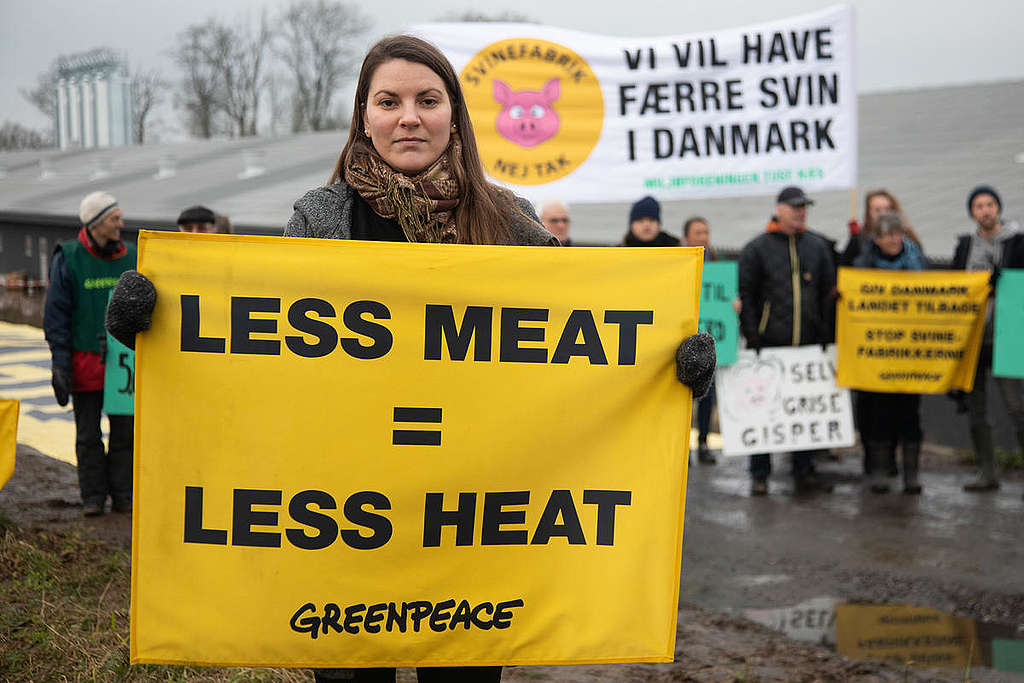 Protest at Funen Piggery in Denmark. © Kristian Buus / Greenpeace