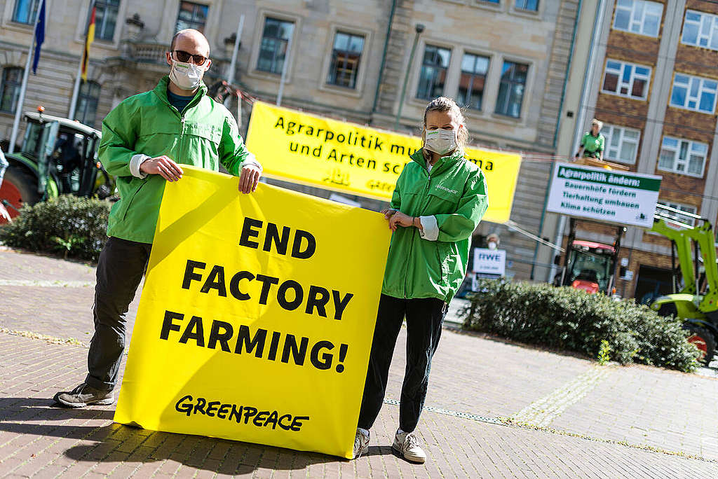 Protest Against EU Agricultural Subsidies in Berlin. © Paul Lovis Wagner / Greenpeace