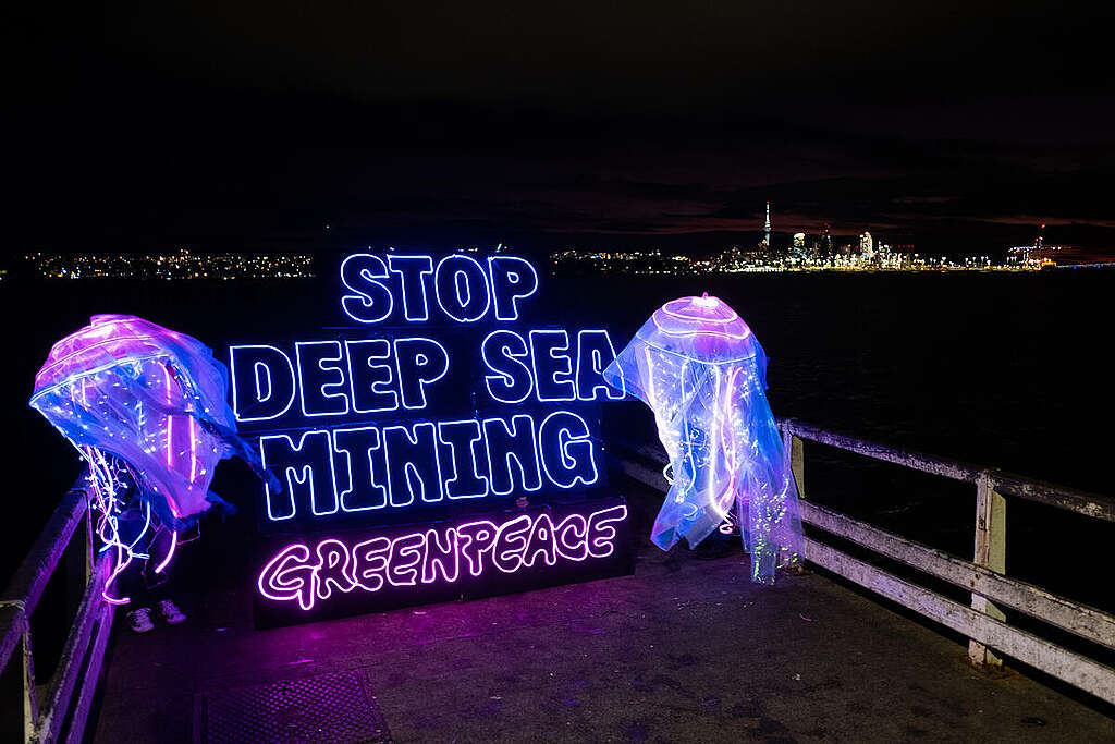 Global Day of Action For World Oceans Day in New Zealand. © Greenpeace