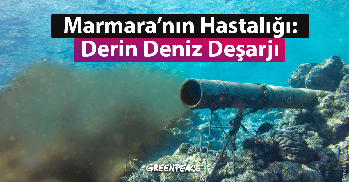 Marmara'nın Hastalığı: Derin Deniz Deşarjı - Greenpeace Akdeniz Türkiye